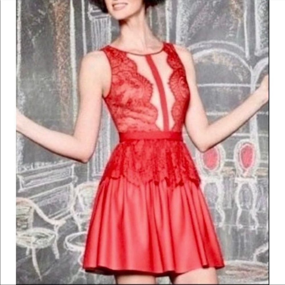 BCBG Art Deco style dress -Layton